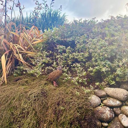 Wild Weka Eco Stay - Off-Grid 4Wd Recommended Waimarie Экстерьер фото